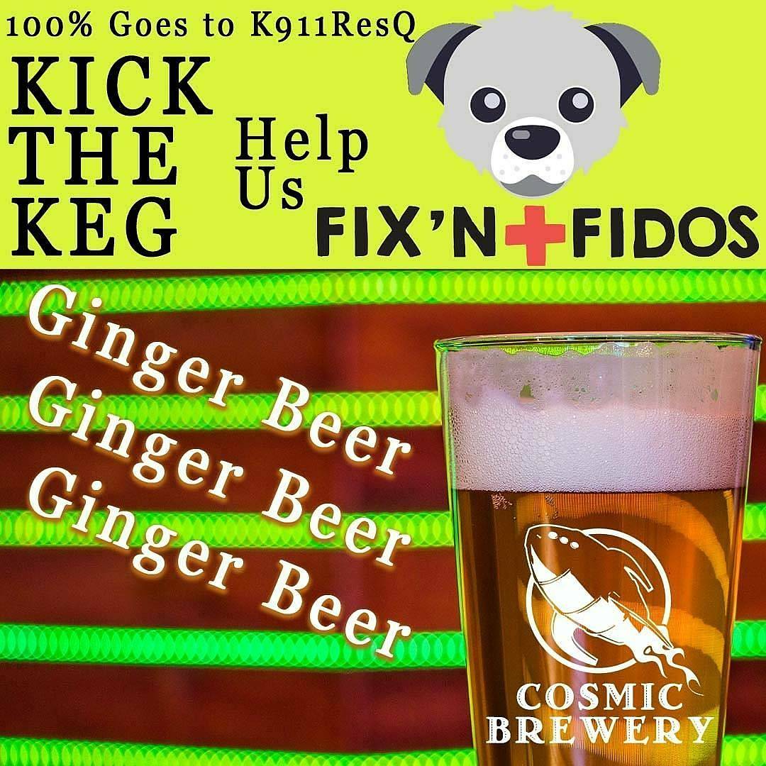 🚨🚨NEW BEERS ALERT🚨🚨 RELEASING 2 NEW BEERS for our December 3rd event. 100% of craft beer and craft soda sales will be donated to @k911resq. A DIPA benefiting K911ResQ and a new ginger beer benefiting FixnFidos. Come down and kick these kegs. #dogsontap #drinkindependent