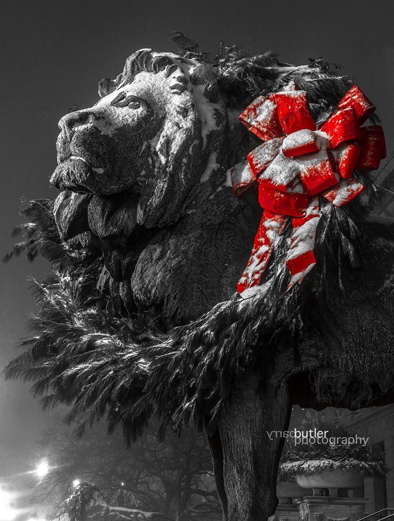 600LSDcondos's tweet photo. RT @barrybutler9  Flashback Friday - the Art Institute of Chicago Lions at Christmas Time #chicago #holiday https://t.co/SqWIt71b34