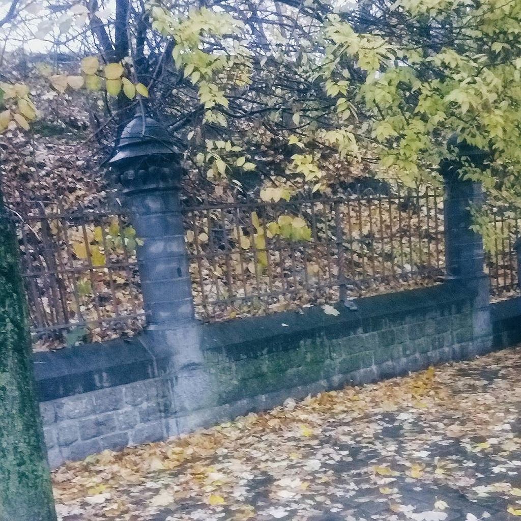 enidbalemans's tweet photo. Het was een koude, natte dag. En toch word ik altijd een beetje blij van de kleuren van herfstbladeren. Herfst, voelt een beetje als thuiskomen. 🍁
.
.
#herfst #herfstbladeren #herfstkleuren #feelslikeparis #instantwerpen #Zurenborg https://t.co/V3HoblRD39 https://t.co/Pg9dk8tbSX