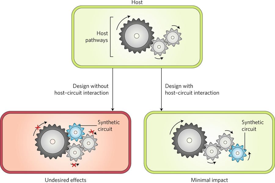 online computer simulation techniques the definitive introduction