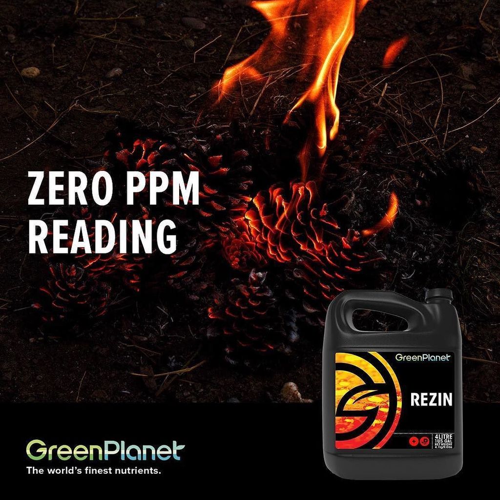 gpwholesale's tweet photo. Rezin, the newest flavour and aroma enhancer from GreenPlanet Nutrients, has 0 PPM reading. Better resin production, aroma and flavour without the need to adjust your base nutrients. #gpgrown #rezin #zeroppm #resin #resinenhancer #greenplanetnutrients https://t.co/rLEM6LwN94 https://t.co/losCtz0pOu