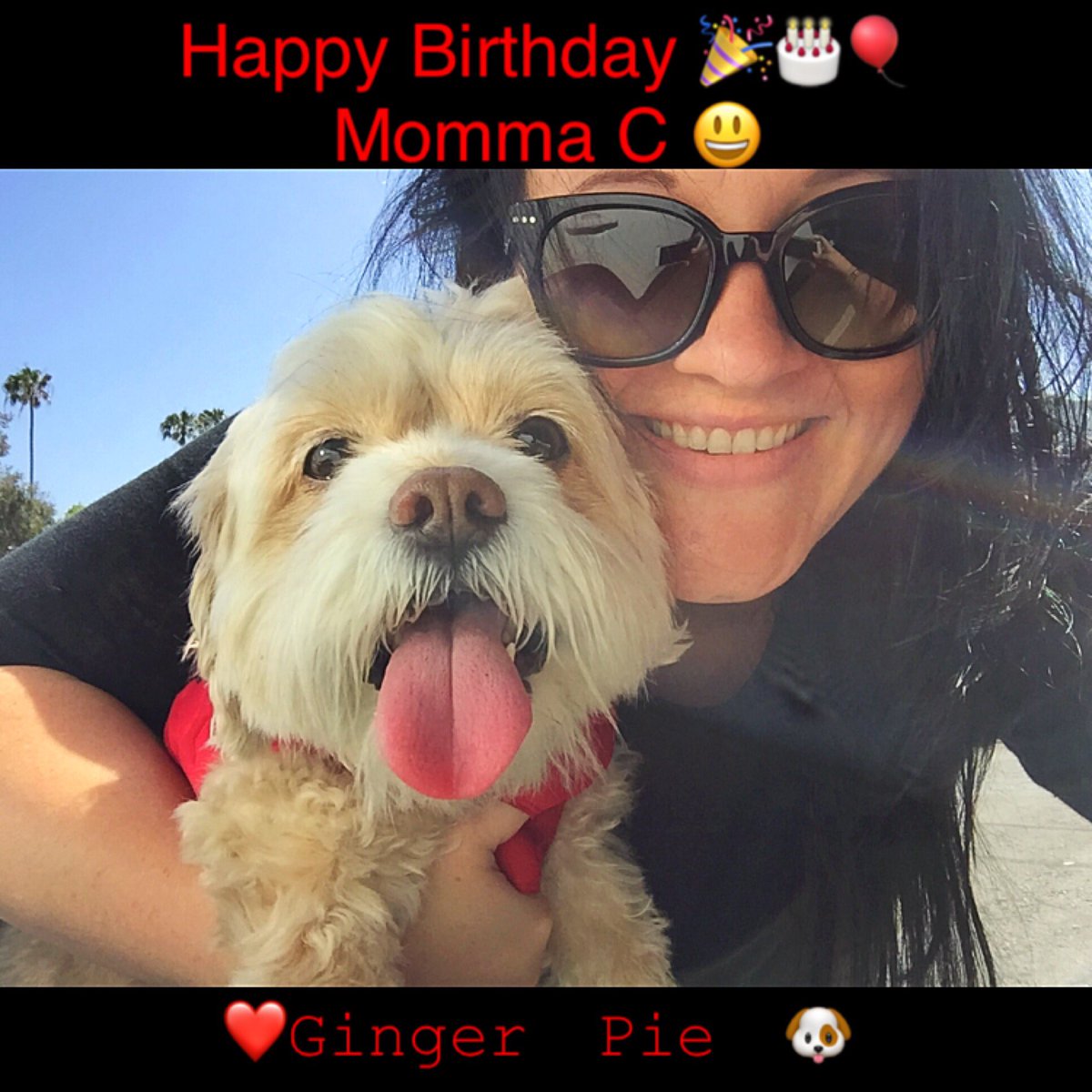 ArtistTerryOG's tweet photo. @OneWithPetCare Happy Birthday Ct!!! Hope you have an amazing and blessed day😊 https://t.co/gLX2Emjs05
