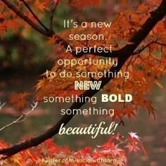RuthKlein's tweet photo. Happy Monday to all!Hope Thanksgiving was wonderful for each and everyone of you.Time to get back on the grind and be productive!
#branding #marketing #books #brandstrategist #productivitycoach #bookmarketing #quantumsynchronicity #writeyourbook #brandstrategy #generationwhynot https://t.co/YnX6MghZGy
