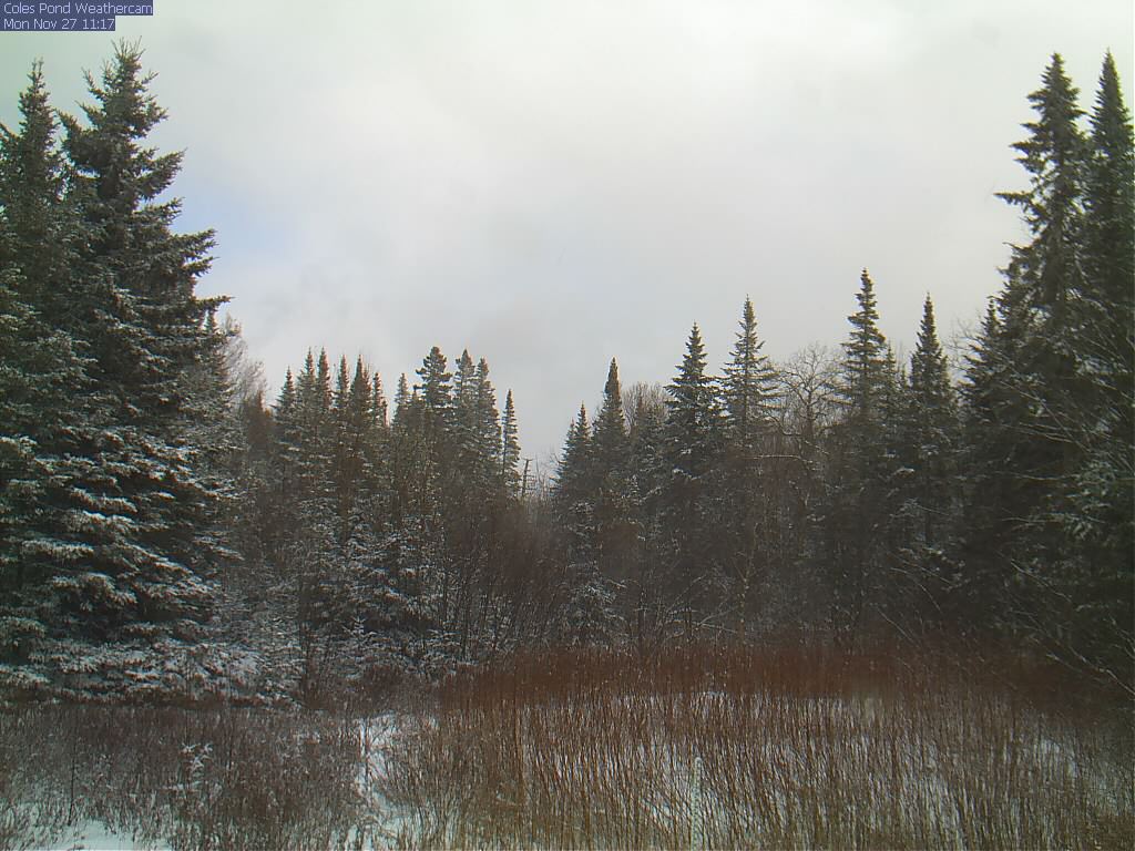 another snow shower moved through, still 7" on the ground and 20F at 11;15AM IN Walden  Live webcam at robertlyonsphotography.com/webcam/netcamX…