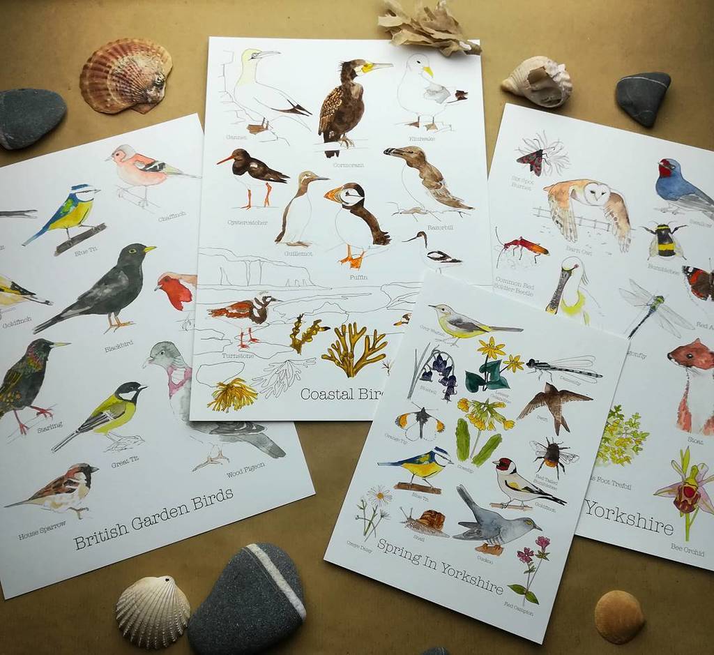 anghenn's tweet photo. #madelocalmonth //Perfect Gift// Great for any nature lover of bird lover, you can find my prints in A4 and A5 size. https://t.co/IpU9xteCG0 https://t.co/1barqjl3dB