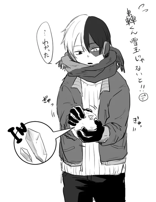 何もわかっていない轟焦凍(15) 