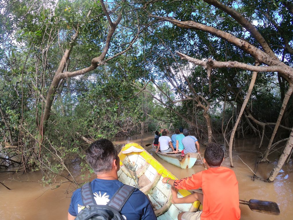 activitybean1's tweet photo. amazing #monkey #safari within the #Parnaiba Delta #activitybean
.
.
.
#tour #wildlife #brasil #boat #dream #dreamplace #activity #myday #holiday #relaxing #brasilien #urlaub #river #startup #Tourism #Sustainable #Traveler #FairTraveler #SustainableTraveling #traveling https://t.co/AFjKrCVP7z