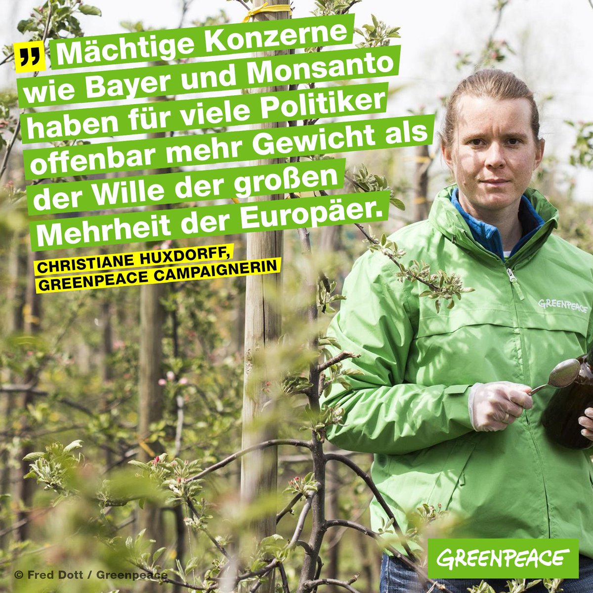 greenpeace_de's tweet photo. Deutschland hat heute für eine Verlängerung von #Glyphosat in der EU um weitere 5 Jahre gestimmt. https://t.co/KoYRQr2ROb