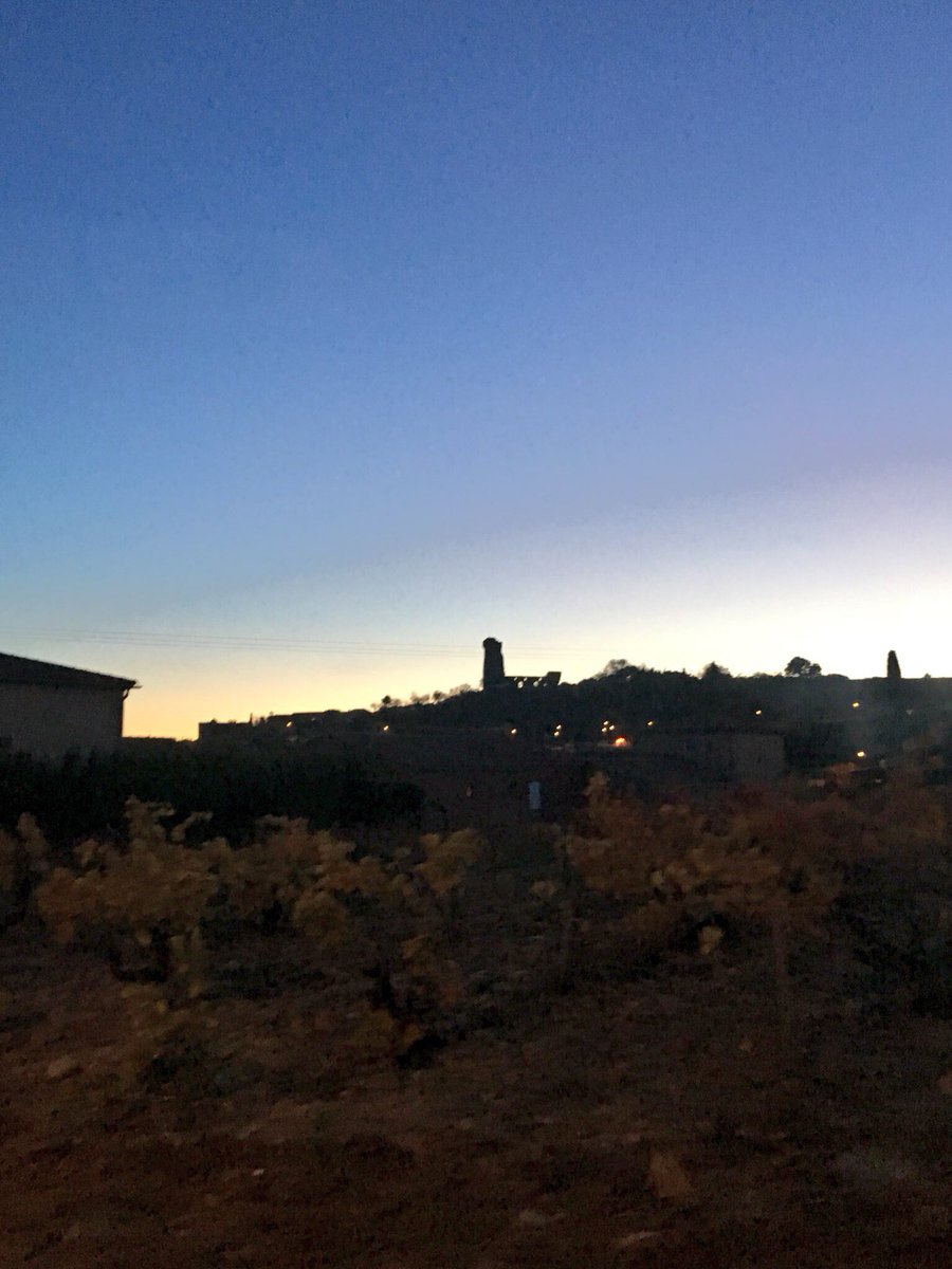 KathrynAndersen's tweet photo. Bonsoir Chateauneuf https://t.co/d121IDxZku
