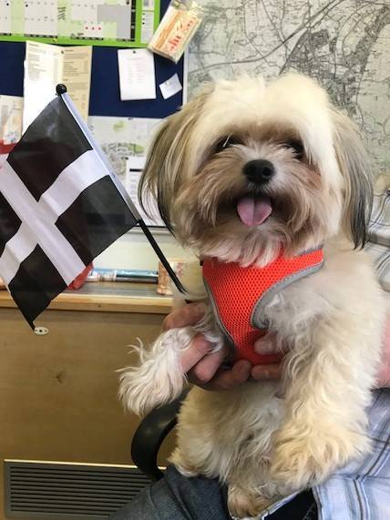 Redruth Piran Fest tweet media