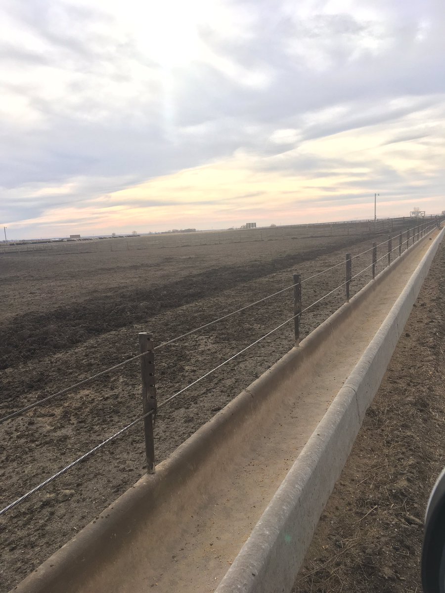silagechopper's tweet photo. Somehow this sickness has to be reckoned with........#EPS17 https://t.co/5Z61skBGCl