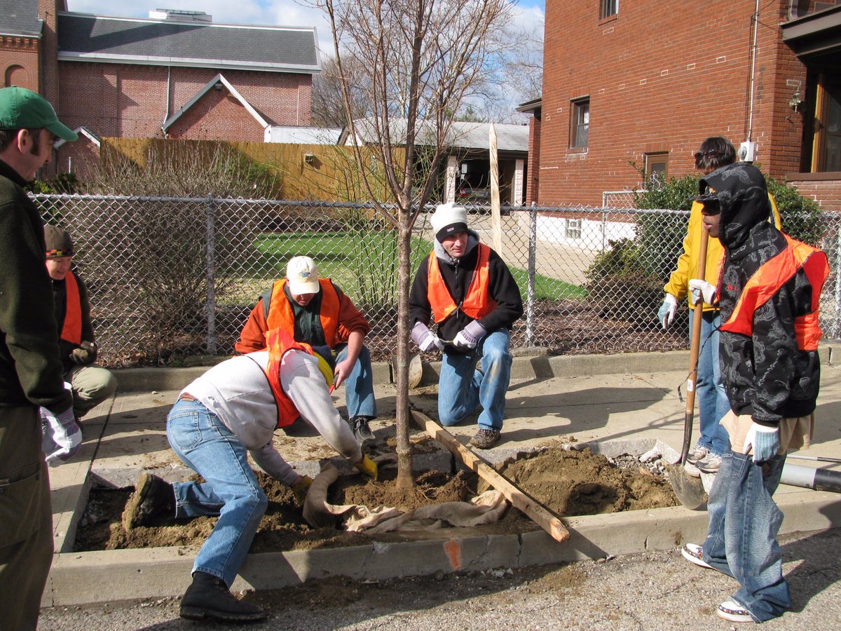 DCNRnews's tweet photo. PA communities receive #TreeVitalize funding to support 28 tree planting, community forestry, and urban stream buffer projects statewide → https://t.co/7n9A3UG1m9 https://t.co/mrZBUel4B8
