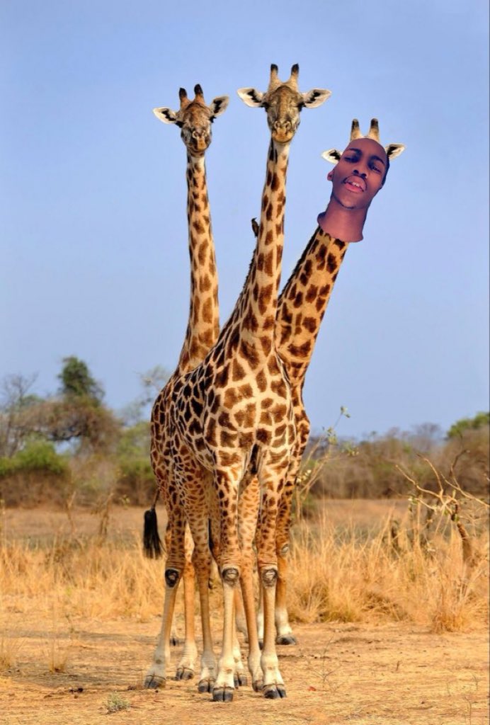 SamDarnold14 tweet media