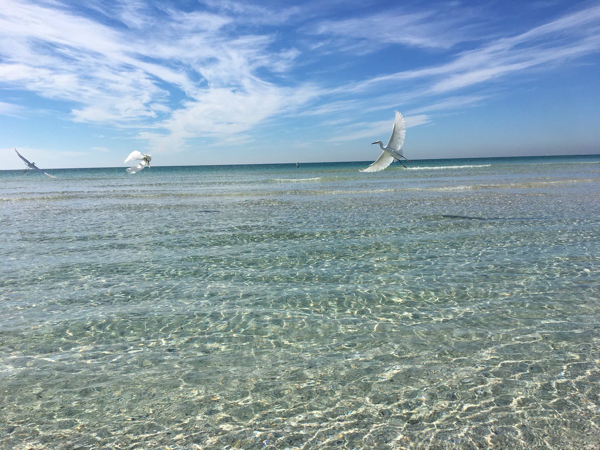 JasonAdamsWFTS's tweet image. Man, I may just have to enter this one into a photo contest! Beautiful day on #AnnaMariaIsland. #LoveFL #AMI #TampaBay @VISITFLORIDA @VisitBradenton @abcactionnews