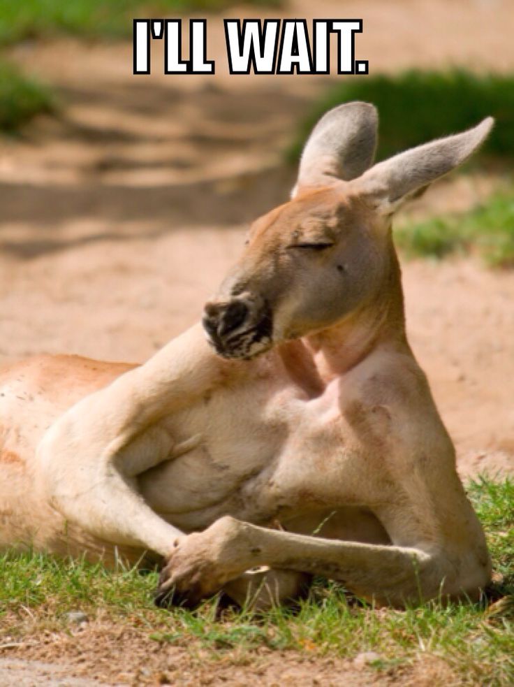 #ThoughtStarters #Thoughts 
#thoughtoftheday 

Citizens "Take advice/enjoy reports from random sources".... That's what we are being told..? right? Or what's implied....But what about the one who doing the implying? Don't know bout you but: