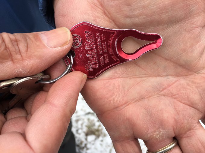 View image on Twitter