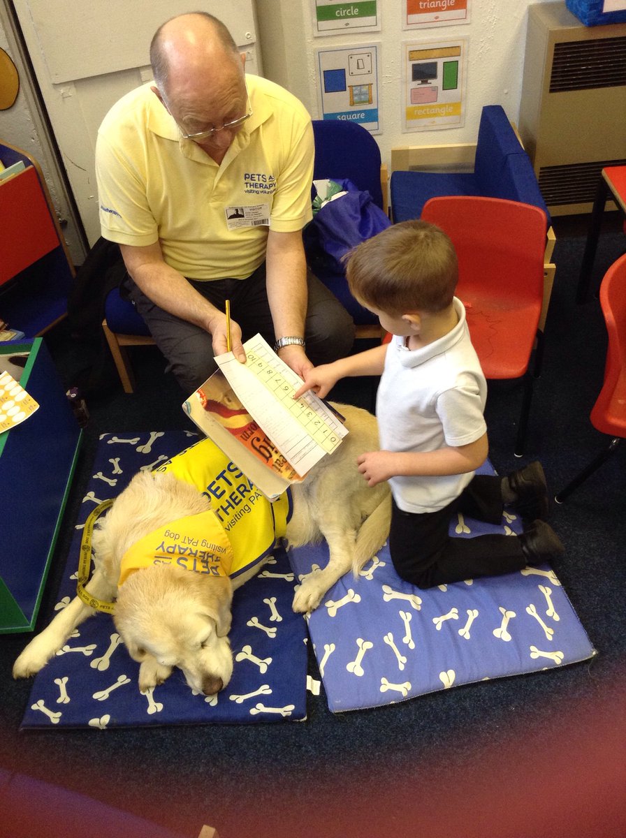 GuilsboroughPri's tweet photo. Our Reception class really enjoyed doing their number patterns with the Pets As Therapy team today! #petastherapy #learningwithanimals #read2dogs #Wellbeing https://t.co/oIyprvrKqA