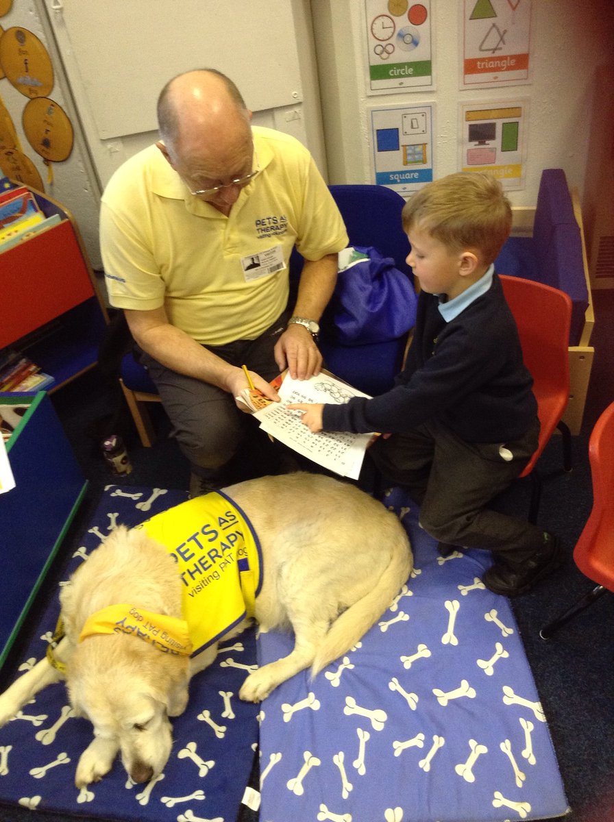 GuilsboroughPri's tweet photo. Our Reception class really enjoyed doing their number patterns with the Pets As Therapy team today! #petastherapy #learningwithanimals #read2dogs #Wellbeing https://t.co/oIyprvrKqA