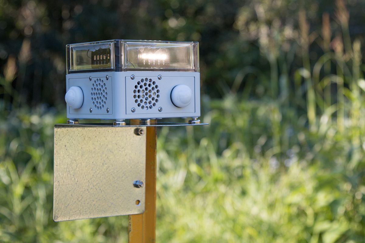 3EMagazine's tweet photo. Don’t Get Closer! AI Scarecrow Can Scare Pests off Effectively https://t.co/DR32HoHoE5 https://t.co/LR2YBb8OyL