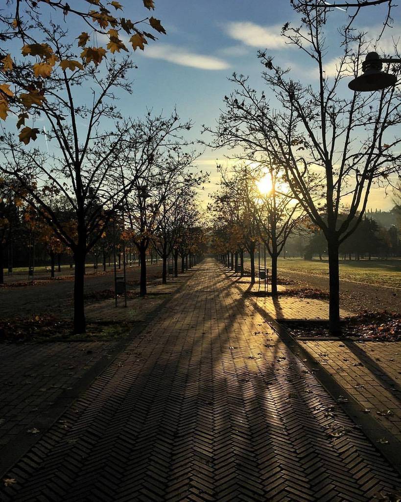 igers_vicenza's tweet photo. Che bella luce π! La stessa che vorremmo rivedere domattina! Bella foto @giovannignt!
#vicenza #igersvicenza #igersveneto #igersitalia #campomarzo #morninglight #chasinglight #ilikeitaly #thisitaly https://t.co/tEwBmYsZtc https://t.co/GCIKoXIKDm