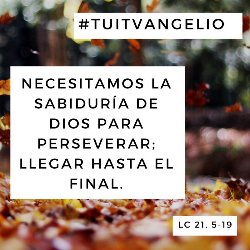 óscar Romano On Twitter 28 De Noviembre Tuitvangelio Lc óscar Romano On Twitter 28 De Noviembre Tuitvangelio Lc