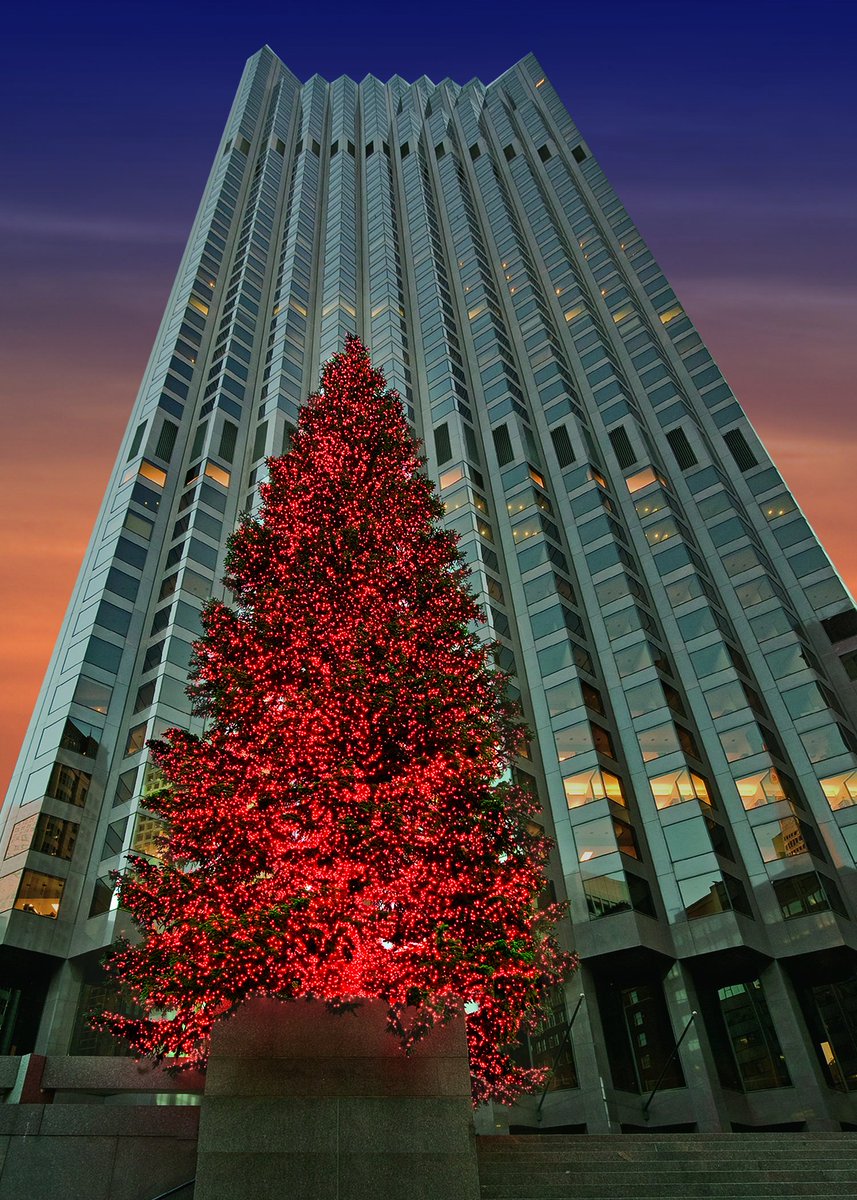 555 CA Tree Lighting tweet media
