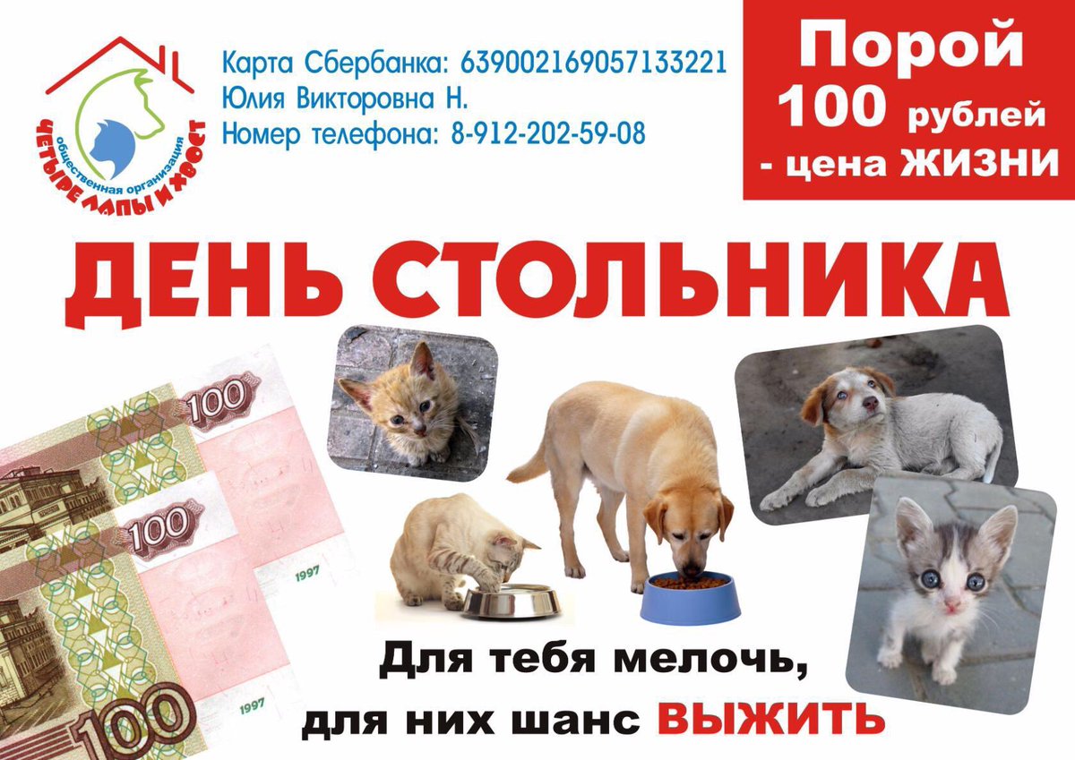 RuBelko's tweet image. Прости помощи для хвостиков #Алапаевск #помощьбездомнымживотным