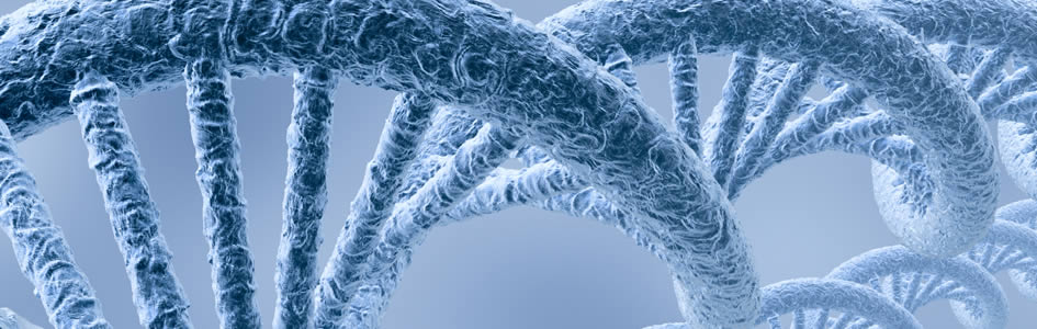 AiG's tweet photo. How Are New Genes Made? https://t.co/GIal0D9fvU https://t.co/SoH3kw0xxG