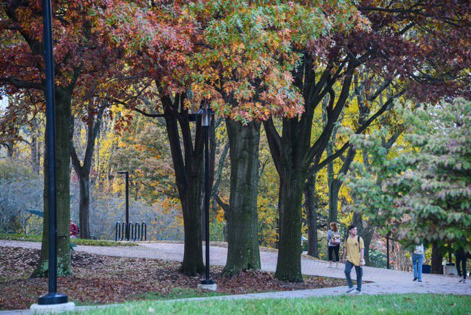 BuildingSTEPS's tweet photo. Wow this is gorgeous! @TowsonU #TUPicOfTheWeek #collegecampus #fallpics https://t.co/WFlG3qZbcM