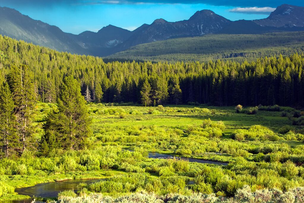 Big Hole River Foundation tweet media