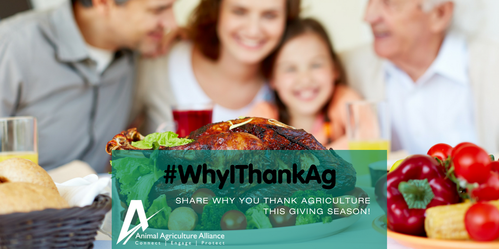 animalag's tweet photo. Agriculture never stops giving. #WhyIThankAg https://t.co/zo4wUxGips