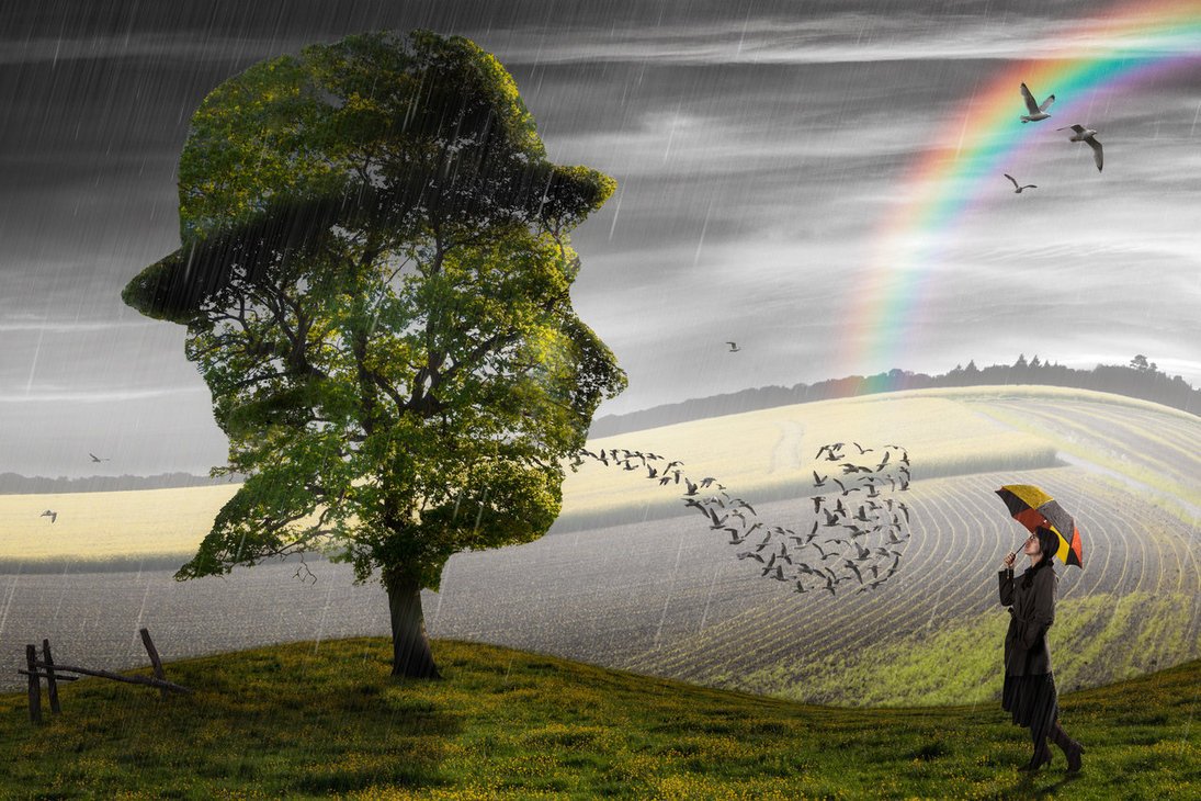 Super Azevas tweet media