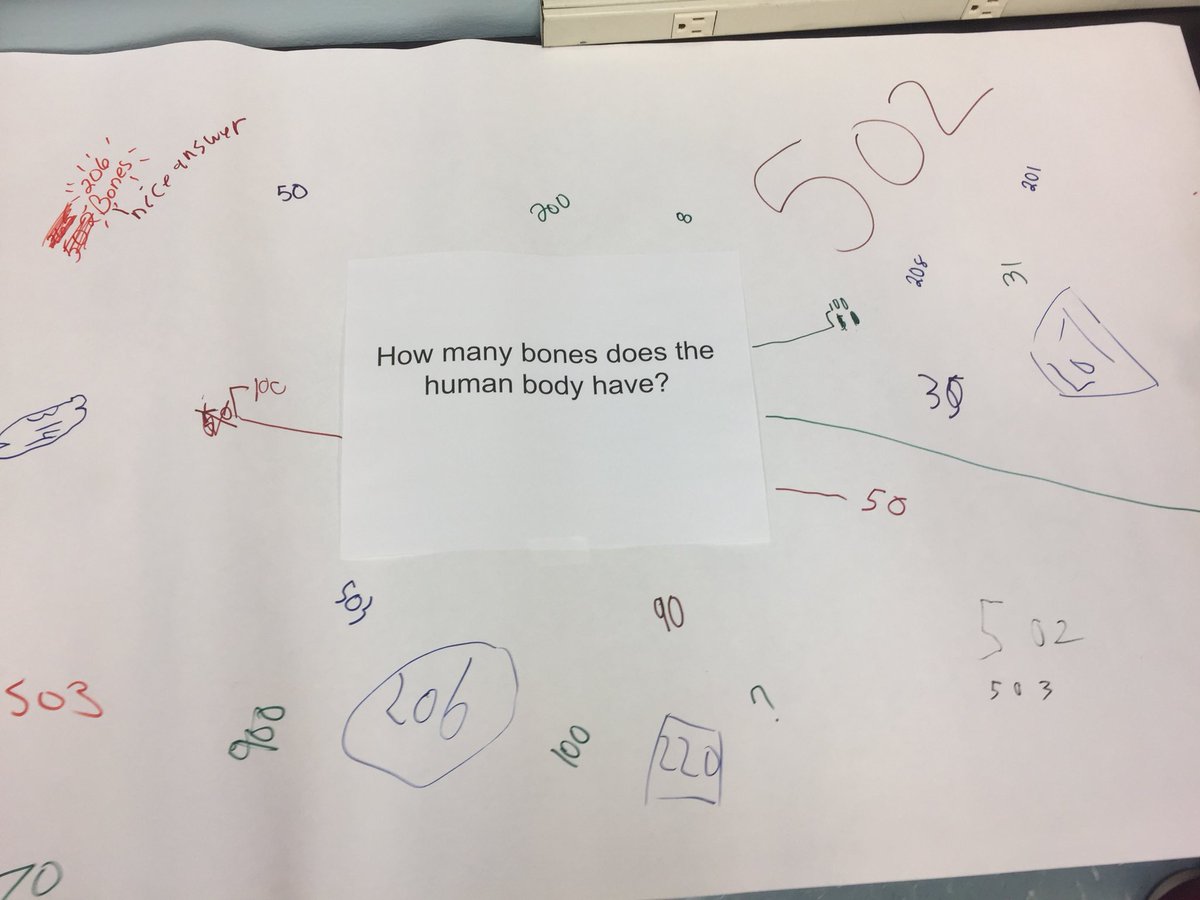 BonnFireAHS's tweet photo. Introducing #humanbody with chalk talk #thinkingvisible activity https://t.co/Zyoj4Fynd5