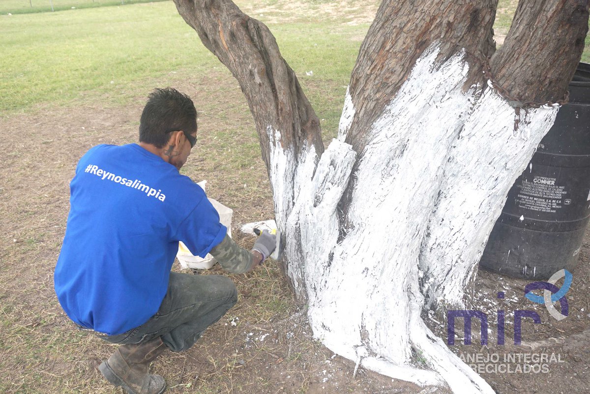 MIReciclados's tweet photo. #ReynosaRecicla #ReynosaFollow
En MIR nos preocupamos por nuestra ciudad y su medio ambiente. En esta ocasión visitamos el parque deportivo ubicado entre avenida Las Torres y Río Purificación, con el único objetivo de que las familias puedan disfrutar de este espacio limpio. https://t.co/fz9XH6ceFW