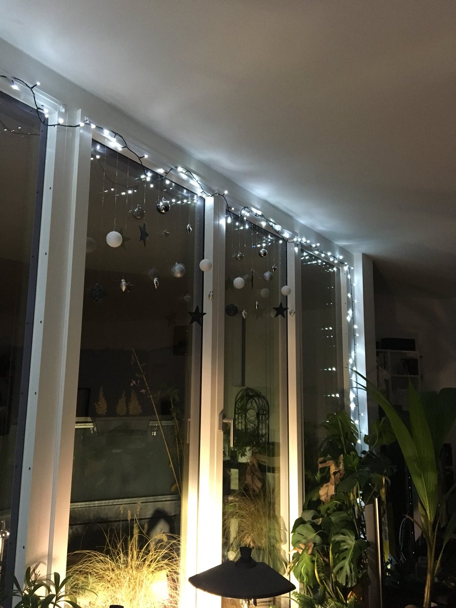 YoSoyBenji's tweet photo. Staubsaugen fälllt bis Januar aus, Mademoiselle hat die #lichterketten ausgepackt...😉 https://t.co/S1dZ1My0iN