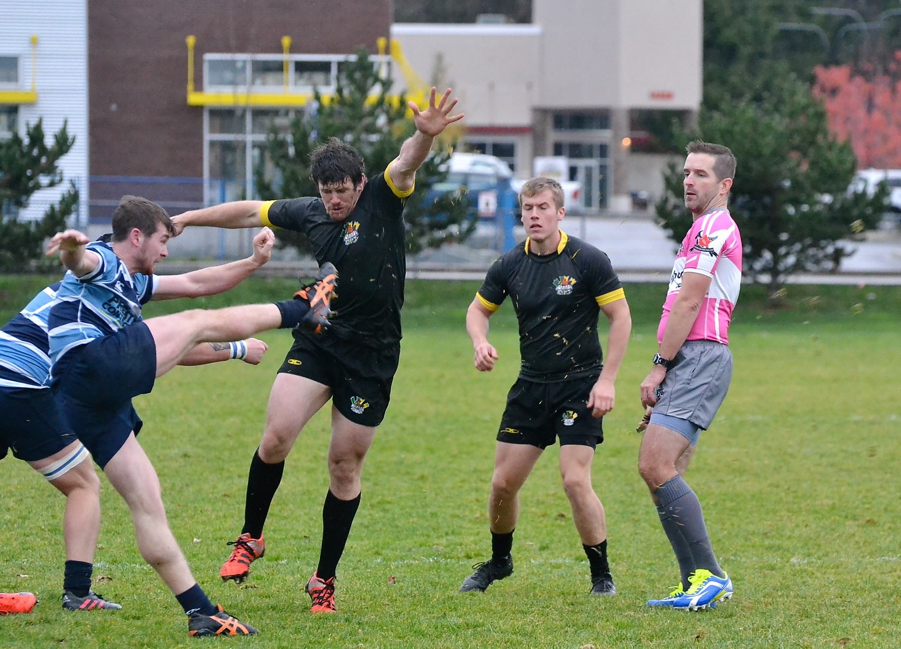 Surrey Beavers Rugby on Twitter "VFVRRS therugbyrefs new kit looks