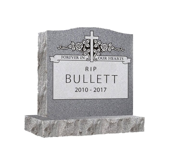 This is our final farewell 👋 We're consciously uncoupling: bullettmedia.com/article/consci… ⚰️⚰️RIP BULLETT⚰️⚰️ Read eulogies from all of our editors, past and present 💀 See you on the other side✌️