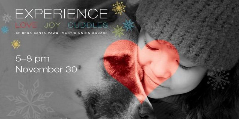 asideofsweet's tweet photo. Join me this Thursday at @Macys #SanFrancisco for Santa Paws, benefitting the @sfspca! More details and tickets: https://t.co/lZgeY2Ubk6
#Macysevents #Macys #santapaws #ad https://t.co/ngEVakSOEJ