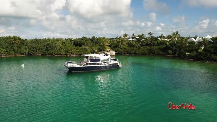 Uber_Vida's tweet photo. #ubervida #bermuda https://t.co/r7M7tOW9eV