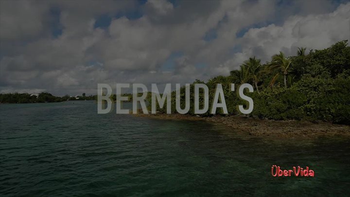 Uber_Vida's tweet photo. #ubervida #bermuda https://t.co/yP8GAfS62c
