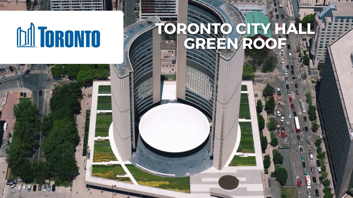 Professional Projects: Toronto City Hall #landscapearchitects #environmentalmaterials