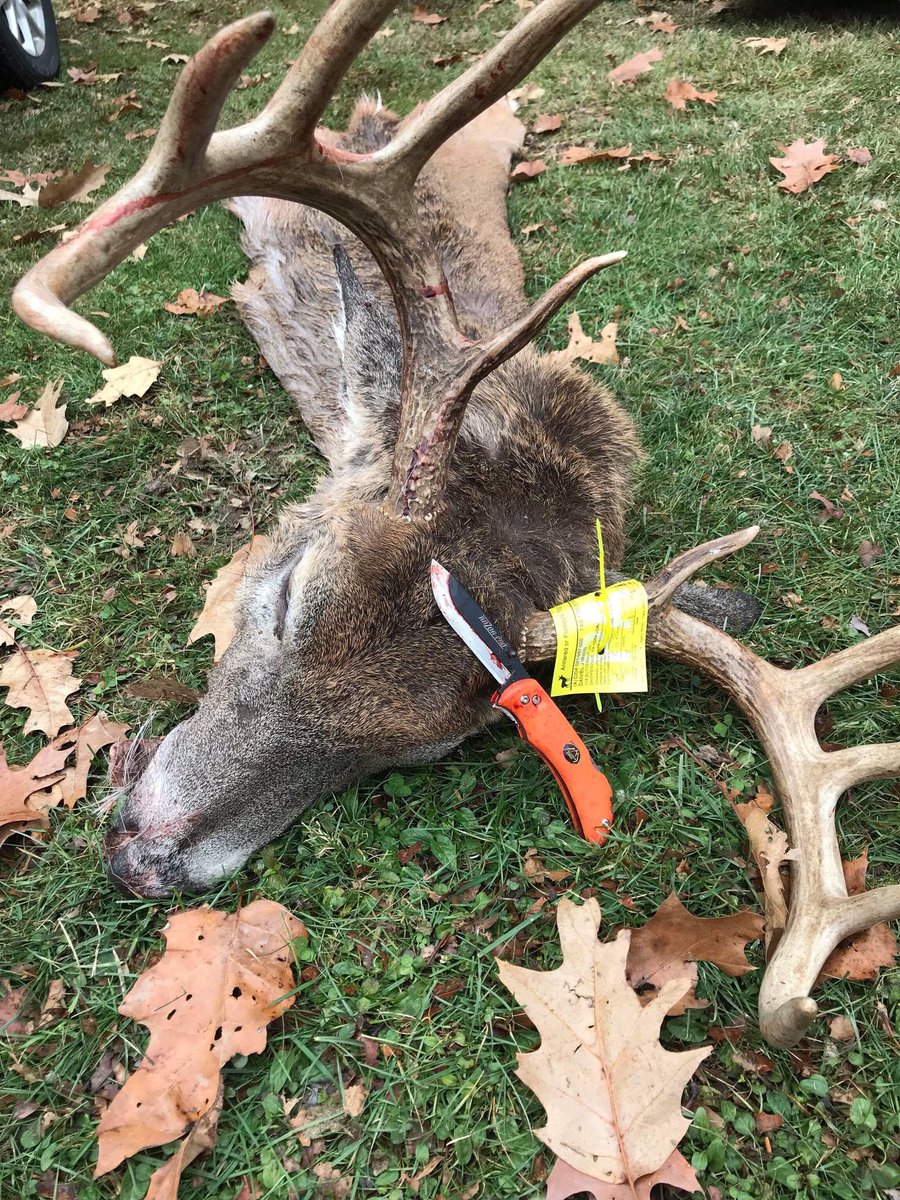 LoveoftheHuntTV's tweet photo. PA buck down! The Outdoor Edge Razor knife will handle the rest! @oeknives #KoolaBuck https://t.co/Qpk9eFc4Ot