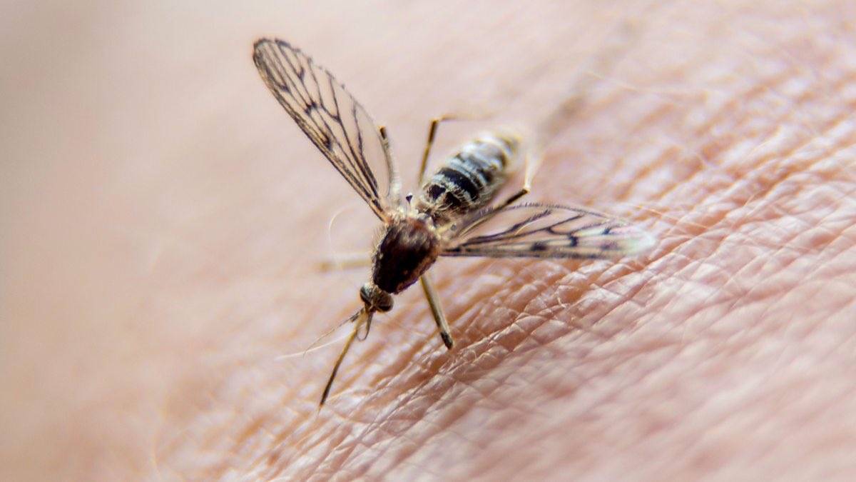 Genesis 12:10 Now there was a famine in the land, and Abram went down to Egypt to dwell there, for the famine was severe in the land.

Challenging situations demand Christians to act &amp; not fold hands

#Action #16DaysOfActivism