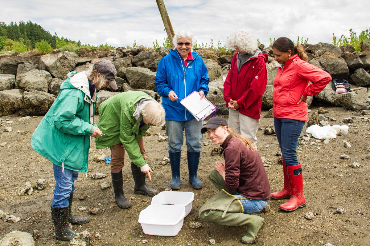 WASeaGrant's tweet photo. Fortunately, #PugetSound has a team of defenders led by Washington Sea Grant’s @WaGreenCrab in partnership w/ @WDFW & volunteers
#CrabComic
photo by Bob Rosenbladt https://t.co/guvgu3fNSg