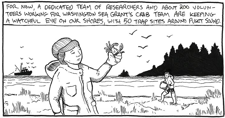 WASeaGrant's tweet photo. @WAGreenCrab volunteers and partners monitor crab populations all over the state’s coasts, looking for #invasive #greencrab.
#CrabComic #SciArt by O Curtsinger https://t.co/hprNKYKJ6w