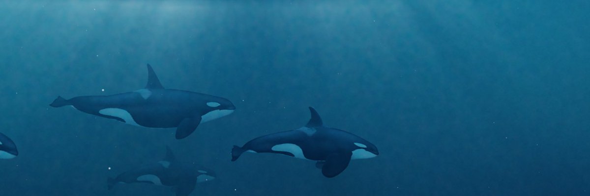 #JoinThePod and discover a unique opportunity to learn about, love and help save the Salish Sea Orcas: facebook.com/salishseaorcas