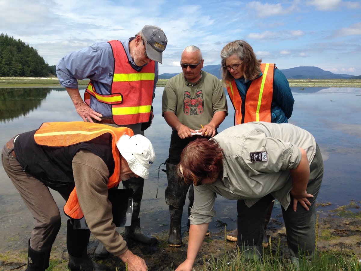 WASeaGrant's tweet photo. Launched in 2015, @WAGreenCrab has 2 goals: (1) detect green crab early & (2) build long-term data set to track population & impacts.
#CrabComic https://t.co/CFlY47zAzt