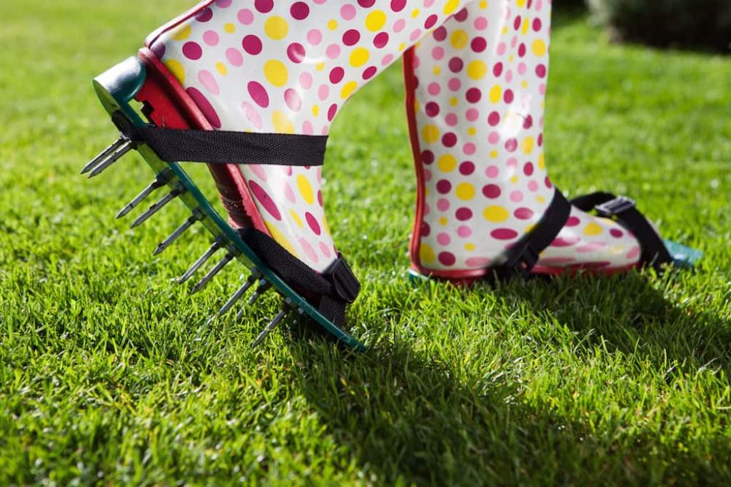 flinsured's tweet photo. How do you care for your lawn after aeration and seeding? @CanopyLawnCare's list of follow up care tips may help! https://t.co/RHiCYNqBsj https://t.co/RmDd1ir9sg