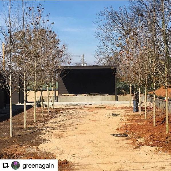 Hunter_Trees's tweet photo. #Repost Green Again - All in #gardendesign #huntertrees #secretspot #symmetry https://t.co/YVOiSOeWnE