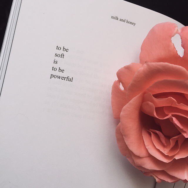aestheticwalls's tweet photo. peachy. https://t.co/yoGahBChzr